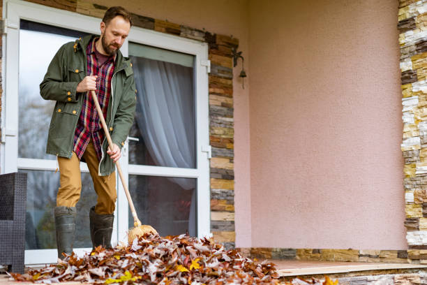 Best Furniture Removal Near Me  in Belle Haven, VA